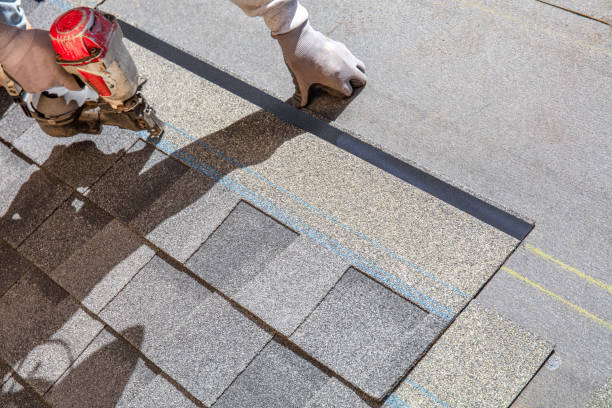 Best Roof Ventilation Installation  in Hutchinson, MN